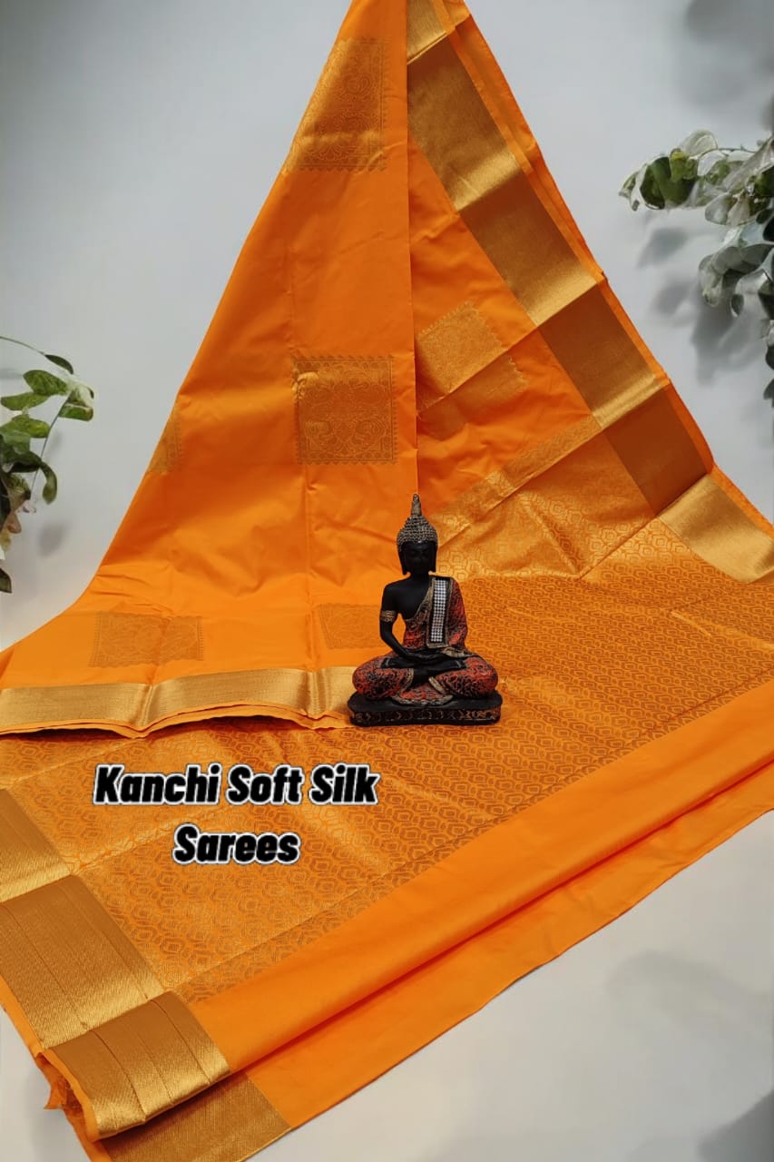 Kanchi Soft Sik Saree