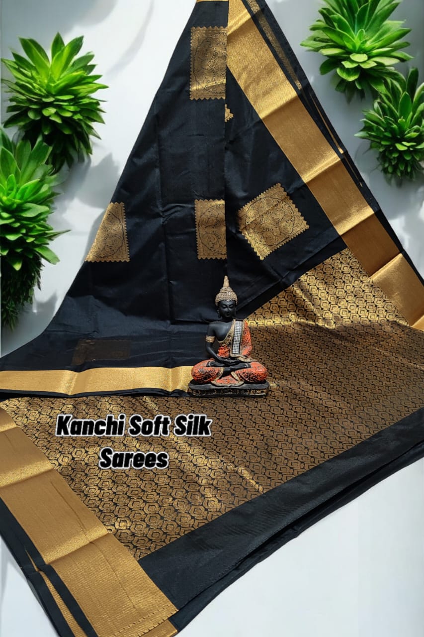 Kanchi Soft Sik Saree